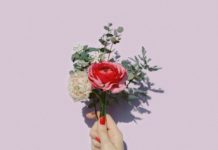 【西洋(欧米)の花占い】国や文化で違う占い