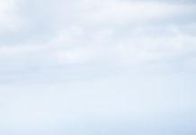 2020年5月最新【動物占い徹底解説!】羊・ヒツジと相性が良い動物は!?恋愛/SEX/人間関係開運引き寄せでオールサポート!